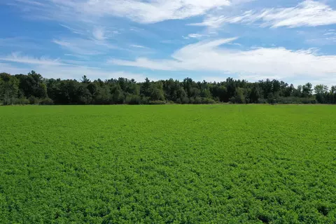 Cty Rd A, Pine River, WI 54983 photo 8