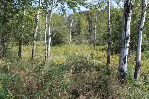 Cty Rd A, Pine River, WI 54983 photo 27