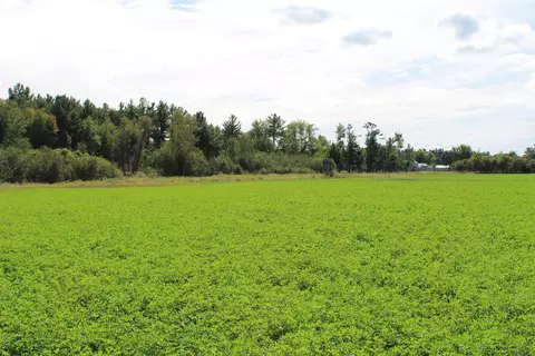 Cty Rd A, Pine River, WI 54983 photo 26