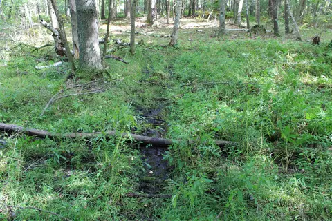 Cty Rd A, Pine River, WI 54983 photo 17