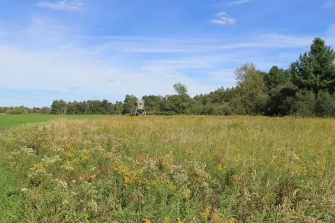 Cty Rd A, Pine River, WI 54983 photo 23