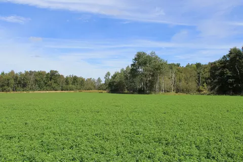 Cty Rd A, Pine River, WI 54983 photo 25