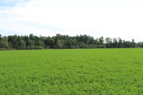 Cty Rd A, Pine River, WI 54983 photo 30