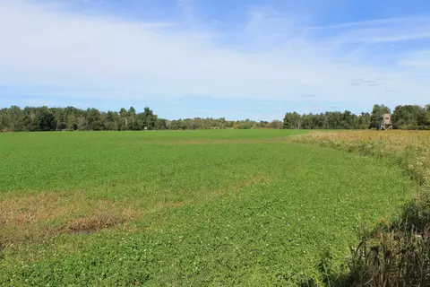 Cty Rd A, Pine River, WI 54983 photo 22