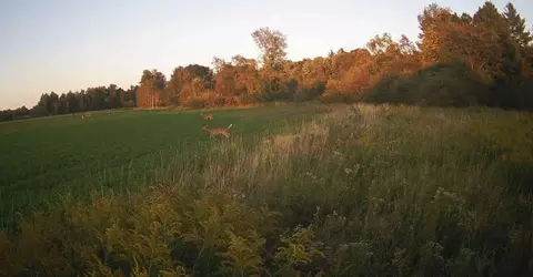 Cty Rd A, Pine River, WI 54983 photo 31