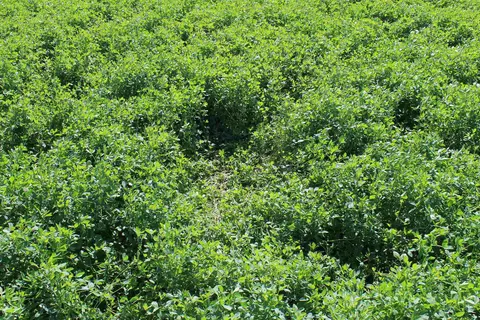 Cty Rd A, Pine River, WI 54983 photo 16