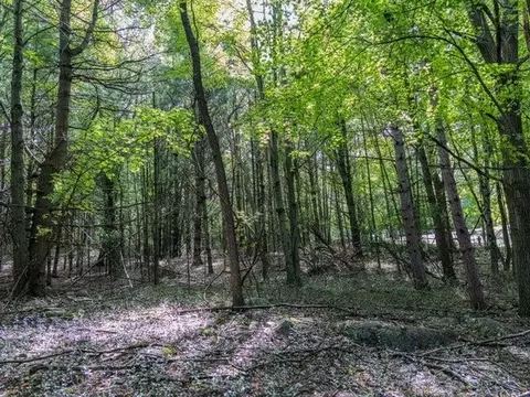 Other - 100 Pine Crest Ln, Iola, WI 54945 photo 60 of 60