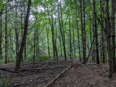 Other - 100 Pine Crest Ln, Iola, WI 54945 photo 54 of 60