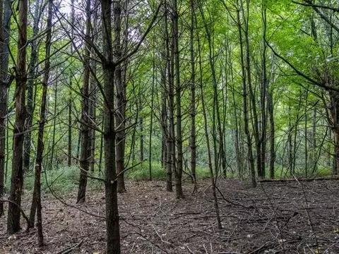Other - 100 Pine Crest Ln, Iola, WI 54945 photo 56 of 60