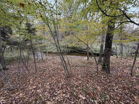 View/Area - w12531 Mill Creek Court, Gresham, WI 54128 photo 1 of 1