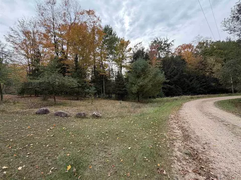 Exterior - w12531 Mill Creek Court, Gresham, WI 54128 photo 18 of 18