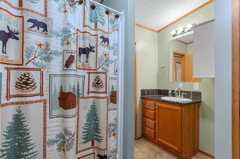 Other - 16326 Faust Ln, White Lake, WI 54491 photo 2 of 28