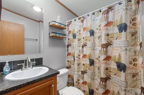 Other - 16326 Faust Ln, White Lake, WI 54491 photo 9 of 28