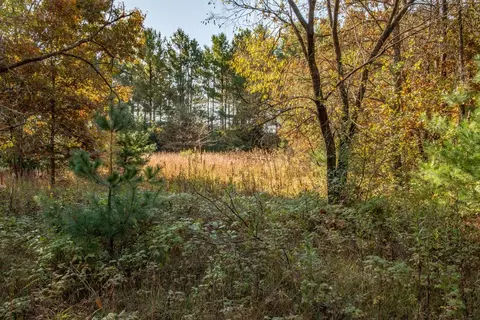 aniwa lane, Plainfield, WI 54966 photo 7