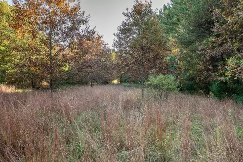 aniwa lane, Plainfield, WI 54966 photo 5