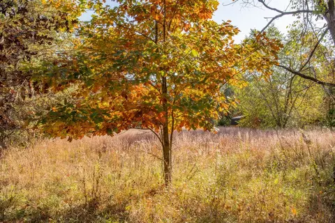 aniwa lane, Plainfield, WI 54966 photo 6