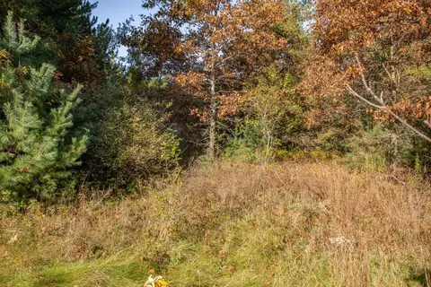 aniwa lane, Plainfield, WI 54966 photo 3