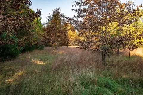 aniwa lane, Plainfield, WI 54966 photo 4
