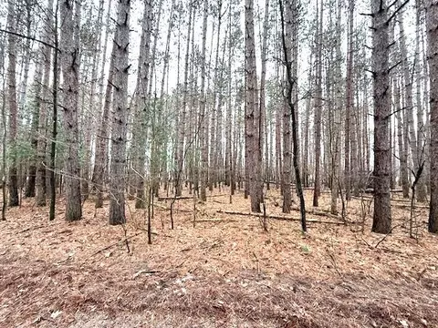 lake terrace drive, Ogdensburg, WI 54962