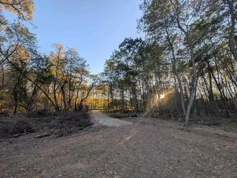 Pine Street, Pine River, WI 54965 photo 16