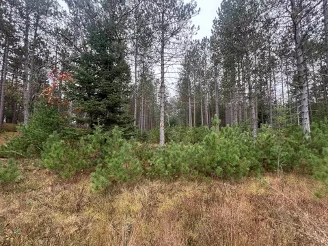 trout haven road, Dunbar, WI 54119