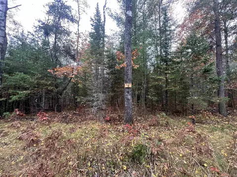 trout haven road, Dunbar, WI 54119
