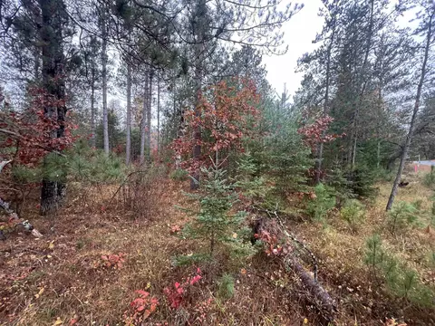 trout haven road, Dunbar, WI 54119