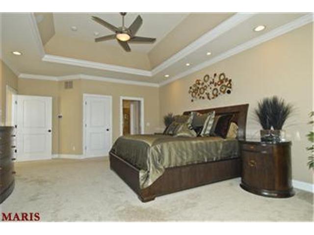 1005 Stonecastle Dr, O'fallon, MO 63366 photo 12