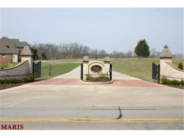 1005 Stonecastle Dr, O'fallon, MO 63366 photo 41