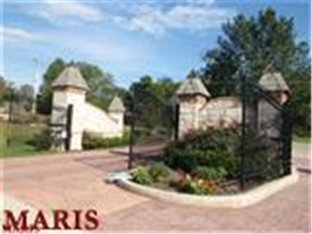 1005 Stonecastle Dr, O'fallon, MO 63366 photo 40