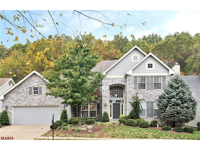 585 Legends View Dr, Eureka, MO 63025 photo 1