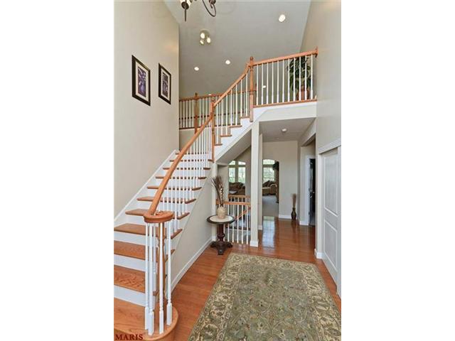 774 Southbrook Forest Ct, Weldon Spring, MO 63304 photo 2