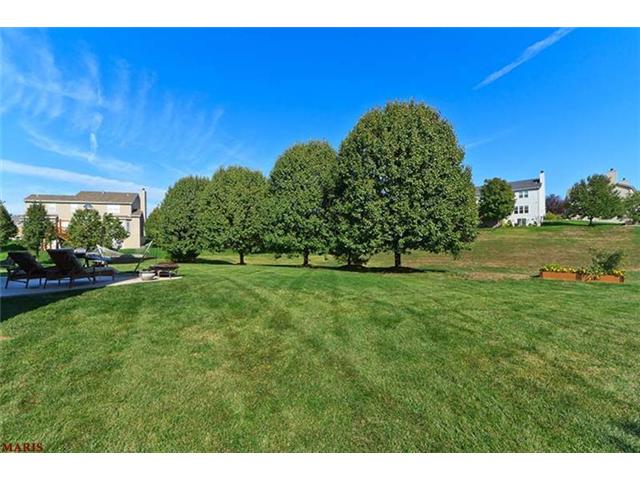 54 Hornbean Ct, O'fallon, MO 63368 photo 36