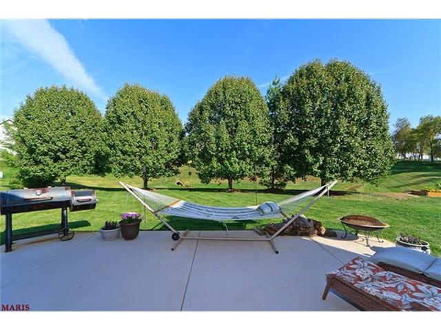 54 Hornbean Ct, O'fallon, MO 63368 photo 41