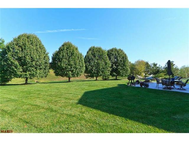 54 Hornbean Ct, O'fallon, MO 63368 photo 44