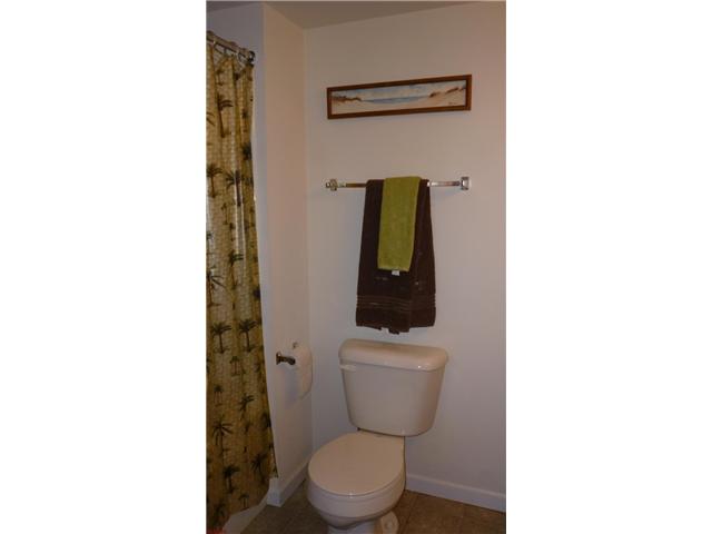 10302 Spring Creek Ln, O'fallon, MO 63368 photo 7