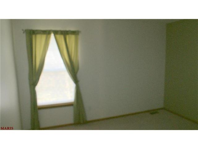 1802 Forest Trace Dr, O'fallon, MO 63368 photo 25