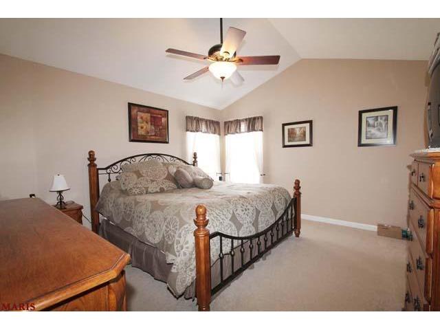 200 Spring Borough Dr, O'fallon, MO 63368 photo 11