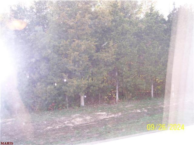 52 W Park Dr, O'fallon, MO 63366 photo 10
