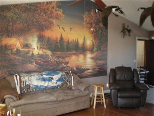 1333 Half Moon, O'fallon, MO 63366 photo 3