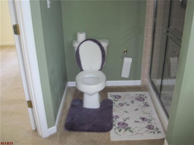 728 Longfellow Cir, O'fallon, MO 63366 photo 33