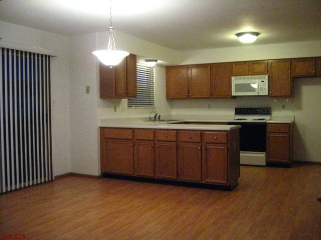 19 Dusty Rose Ct, O'fallon, MO 63368 photo 2