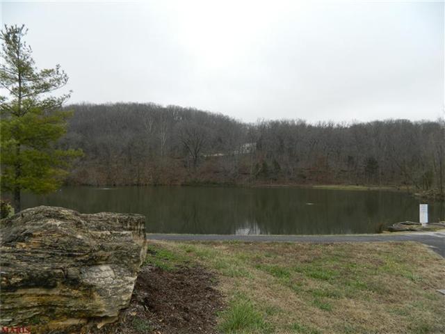 982 Shire Ln, Eureka, MO 63025 photo 28