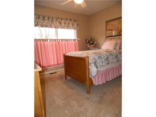 982 Shire Ln, Eureka, MO 63025 photo 16