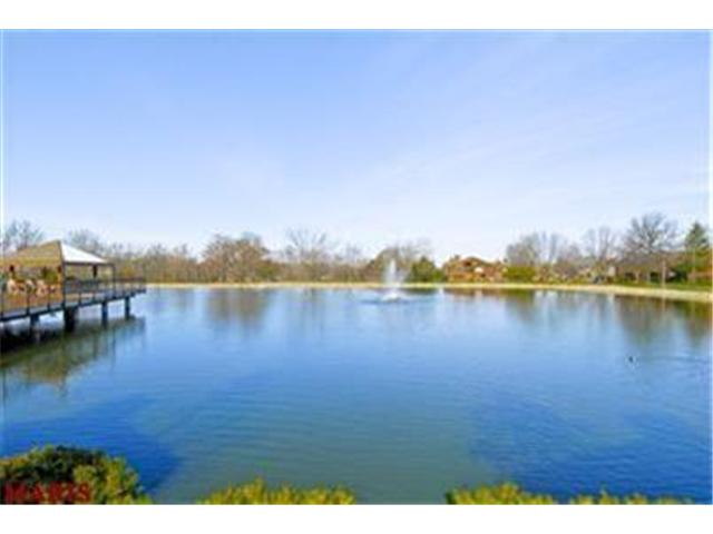 709 Hemingway Ln, Weldon Spring, MO 63304 photo 34