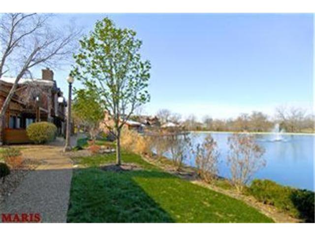 709 Hemingway Ln, Weldon Spring, MO 63304 photo 27