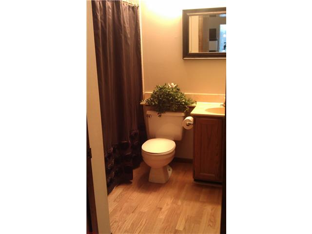 709 Hemingway Ln, Weldon Spring, MO 63304 photo 24