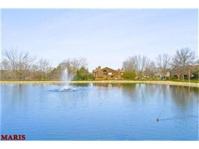 709 Hemingway Ln, Weldon Spring, MO 63304 photo 33