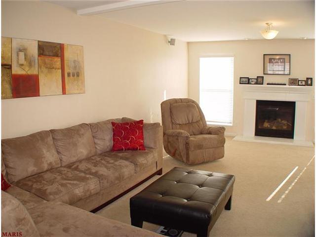 1348 Sunview Dr, O'fallon, MO 63366 photo 23