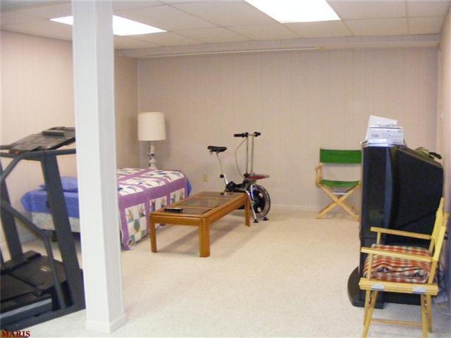 25 Springfield Ct, Glendale, MO 63122 photo 37